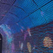 ヒメ日記 2025/06/10 17:49 投稿 さいな もんぜつちじょ本店