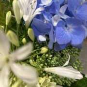 ヒメ日記 2025/06/18 14:29 投稿 さいな もんぜつちじょ本店