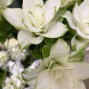 ヒメ日記 2025/06/20 19:39 投稿 さいな もんぜつちじょ本店