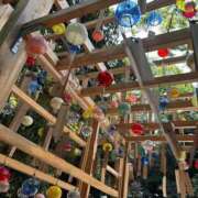 ヒメ日記 2025/07/08 17:39 投稿 さいな もんぜつちじょ本店