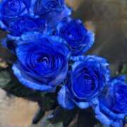 ヒメ日記 2025/07/10 16:59 投稿 さいな もんぜつちじょ本店