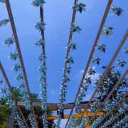 ヒメ日記 2025/07/12 17:59 投稿 さいな もんぜつちじょ本店