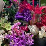 ヒメ日記 2025/07/19 18:09 投稿 さいな もんぜつちじょ本店