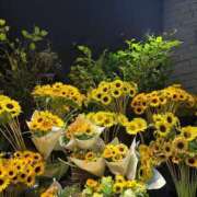 ヒメ日記 2025/07/22 17:19 投稿 さいな もんぜつちじょ本店