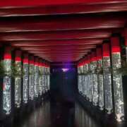 ヒメ日記 2025/07/29 18:49 投稿 さいな もんぜつちじょ本店