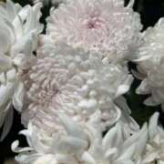 ヒメ日記 2025/08/13 17:29 投稿 さいな もんぜつちじょ本店