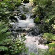 ヒメ日記 2025/08/26 18:09 投稿 さいな もんぜつちじょ本店