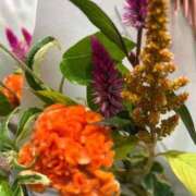 ヒメ日記 2025/09/03 14:59 投稿 さいな もんぜつちじょ本店