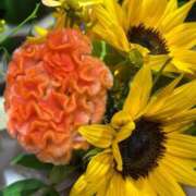 ヒメ日記 2025/09/06 17:59 投稿 さいな もんぜつちじょ本店