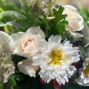 ヒメ日記 2025/09/13 17:39 投稿 さいな もんぜつちじょ本店