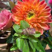 ヒメ日記 2025/09/25 18:19 投稿 さいな もんぜつちじょ本店