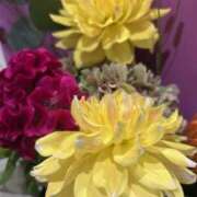 ヒメ日記 2025/10/21 17:19 投稿 さいな もんぜつちじょ本店