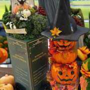 ヒメ日記 2025/10/23 17:19 投稿 さいな もんぜつちじょ本店