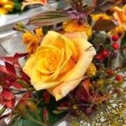 ヒメ日記 2025/11/04 18:19 投稿 さいな もんぜつちじょ本店