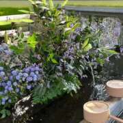 ヒメ日記 2025/11/11 19:09 投稿 さいな もんぜつちじょ本店