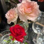 ヒメ日記 2025/11/22 17:59 投稿 さいな もんぜつちじょ本店