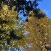 ヒメ日記 2025/12/02 17:39 投稿 さいな もんぜつちじょ本店