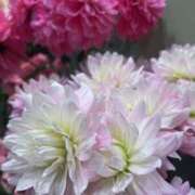 ヒメ日記 2026/01/06 18:39 投稿 さいな もんぜつちじょ本店