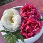 ヒメ日記 2026/01/13 11:39 投稿 さいな もんぜつちじょ本店