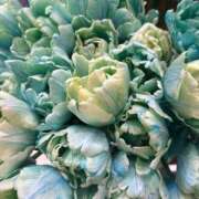 ヒメ日記 2026/01/15 18:19 投稿 さいな もんぜつちじょ本店