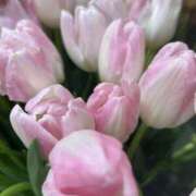 ヒメ日記 2026/01/21 13:59 投稿 さいな もんぜつちじょ本店