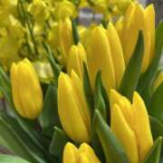 ヒメ日記 2026/01/29 17:49 投稿 さいな もんぜつちじょ本店