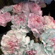 ヒメ日記 2026/02/10 18:31 投稿 さいな もんぜつちじょ本店