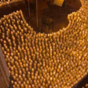 ヒメ日記 2026/03/03 18:39 投稿 さいな もんぜつちじょ本店