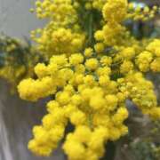 ヒメ日記 2026/03/05 17:09 投稿 さいな もんぜつちじょ本店