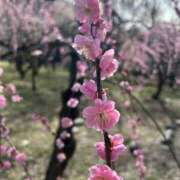 ヒメ日記 2026/03/07 17:09 投稿 さいな もんぜつちじょ本店