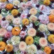 ヒメ日記 2026/03/14 17:09 投稿 さいな もんぜつちじょ本店