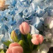 ヒメ日記 2026/03/28 15:59 投稿 さいな もんぜつちじょ本店