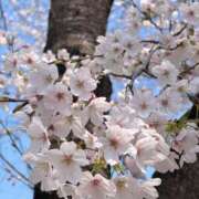 ヒメ日記 2026/03/29 15:59 投稿 さいな もんぜつちじょ本店