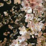 ヒメ日記 2026/04/01 19:39 投稿 さいな もんぜつちじょ本店