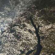 ヒメ日記 2026/04/04 18:19 投稿 さいな もんぜつちじょ本店