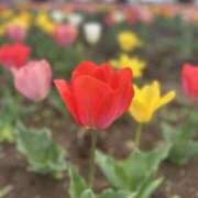 ヒメ日記 2026/04/11 10:49 投稿 さいな もんぜつちじょ本店