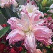 さいな 出勤です✨ もんぜつちじょ本店