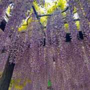 ヒメ日記 2026/04/28 13:29 投稿 さいな もんぜつちじょ本店