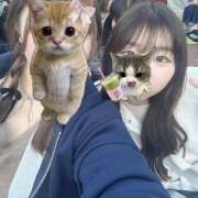 ヒメ日記 2025/04/07 18:09 投稿 ゆあ みつばちマーヤZ