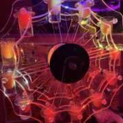 ヒメ日記 2025/12/15 01:37 投稿 ゆあ みつばちマーヤZ