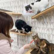 ヒメ日記 2025/07/21 23:40 投稿 橘みれい Candy Smile