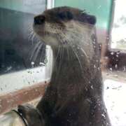 ヒメ日記 2025/07/28 01:33 投稿 橘みれい Candy Smile