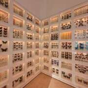 ヒメ日記 2025/06/19 08:12 投稿 らん キスMy