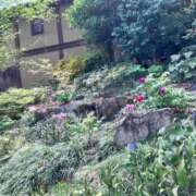 ヒメ日記 2025/04/24 23:10 投稿 かえで 愛知三河安城岡崎ちゃんこ