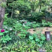 ヒメ日記 2026/01/02 17:40 投稿 かえで 愛知三河安城岡崎ちゃんこ