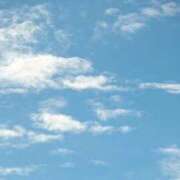 ヒメ日記 2026/01/21 16:20 投稿 かえで 愛知三河安城岡崎ちゃんこ