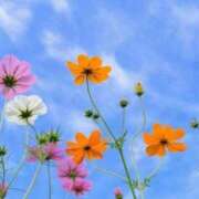 ヒメ日記 2026/03/25 06:20 投稿 かえで 愛知三河安城岡崎ちゃんこ