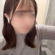 すみれ 今日いるよお！！ 素人美少女専門　新横浜アンジェリーク（アンジェリークグループ）