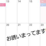 ヒメ日記 2026/01/16 20:57 投稿 ちずね 和歌山人妻援護会