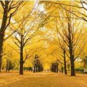 ヒメ日記 2025/11/24 12:32 投稿 みこと 熟女の風俗最終章 蒲田店